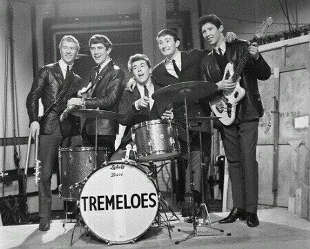 The Tremeloes boekt u bij www.kwekel-evenementen.nl
