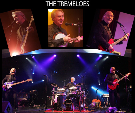 The Tremoloes boekt u bij www.kwekel-evenementen.nl