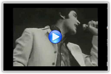 The Troggs boekt u bij www.kwekel-evenementen.nl